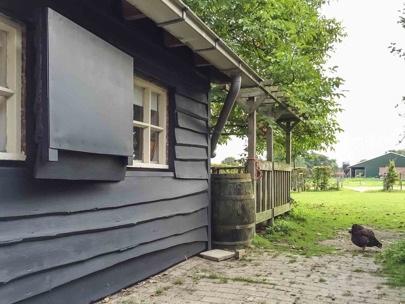 krokodil kas Gewond raken Zwart beitsen van jouw schuur, gevel, veranda of tuinhuis? Zo doe je dat!