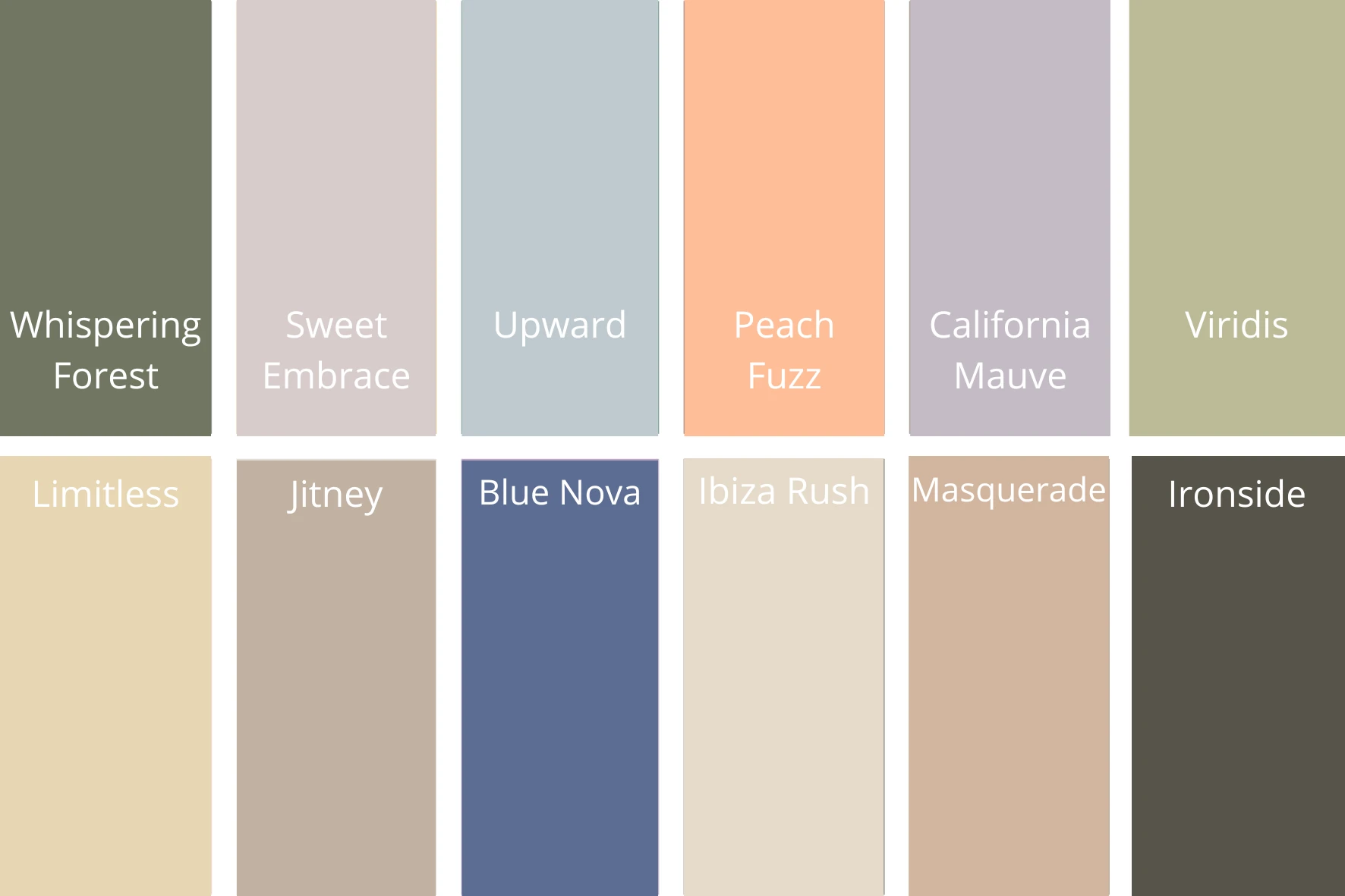 Kleuren trend 2024