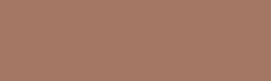 Pantone kleur 2025<br />
Mocha Mousse