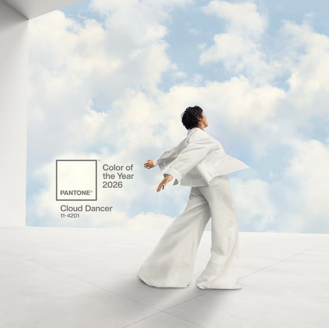 pantone kleur van het jaar 2026 11-4804 TPG Lightest Sky